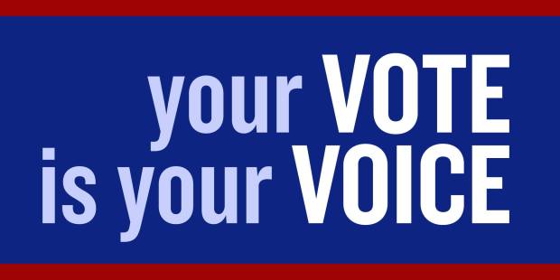 Your-Vote-Is-Your-Voice